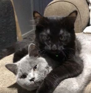 Meet your Posher, Nancy